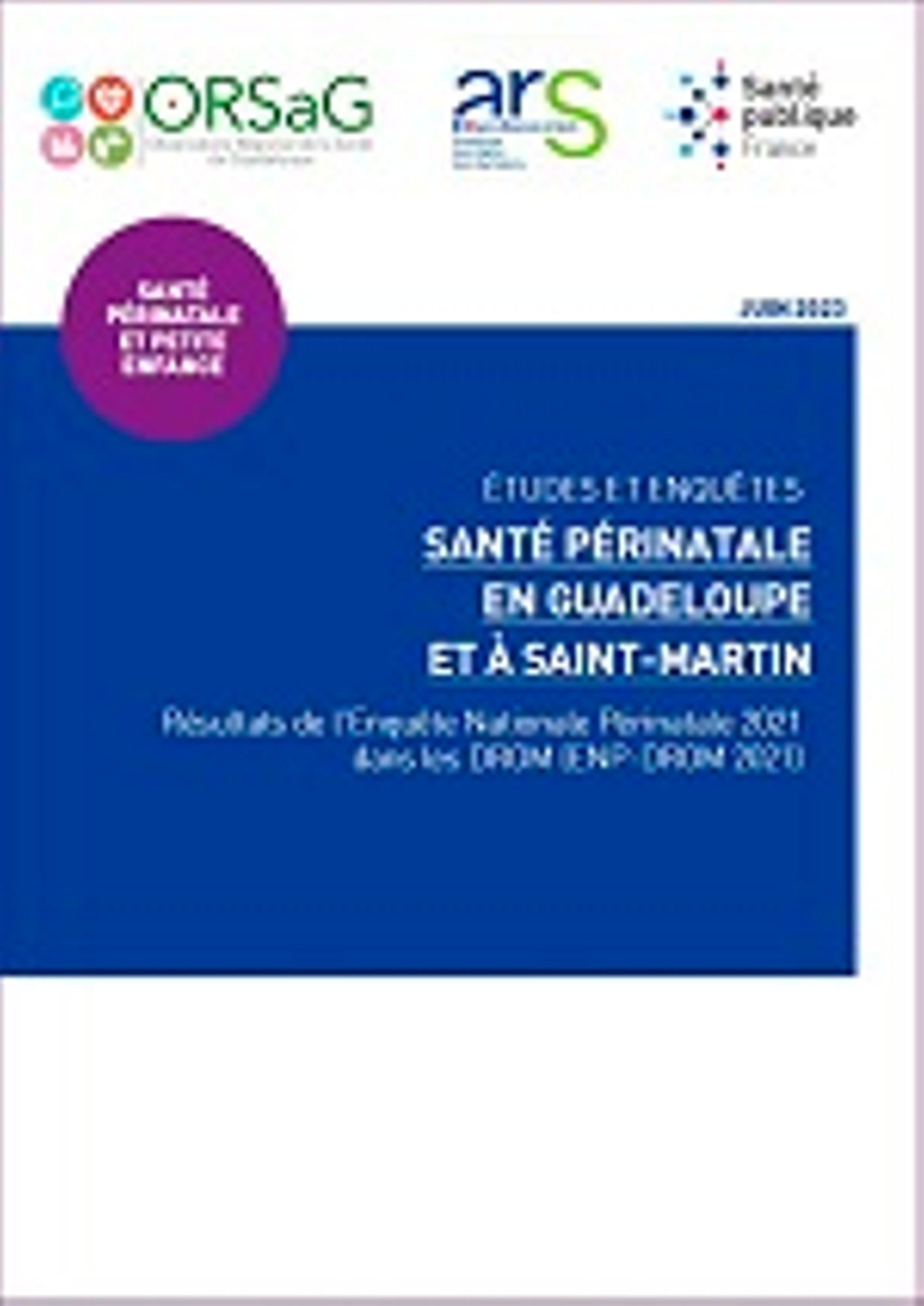 Rapport ENP 971